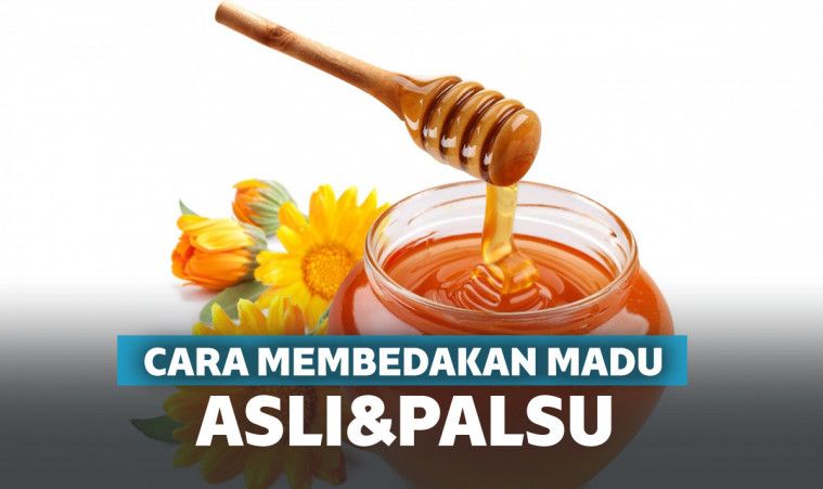 13 Cara Membedakan Madu Asli dan Palsu