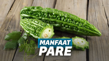 Manfaat Pare untuk Kesehatan