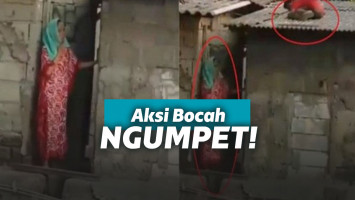 Bocah ngumpet dari ibu