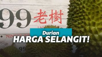 Durian di 99 Old Trees