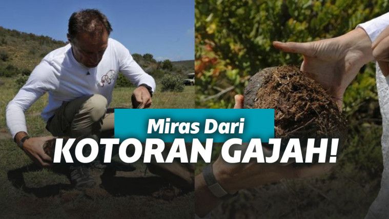 Membuat alkohol dari kotoran gajah