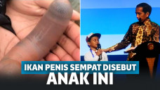 Ikan penis yang pernah disebut seorang bocah SD