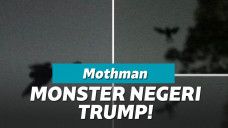 Mothman