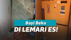 Penemuan bayi di dalam kulkas