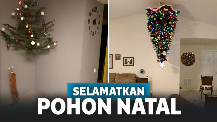 Cara Membuat Pohon Natal Tempel Di Dinding Membuat Itu