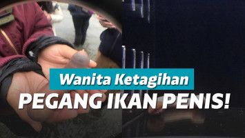 Ikan penis