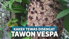 Ilustrasi sarang tawon