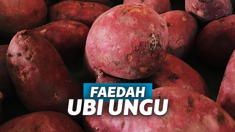 Manfaat Ubi Ungu Untuk Segala Usia