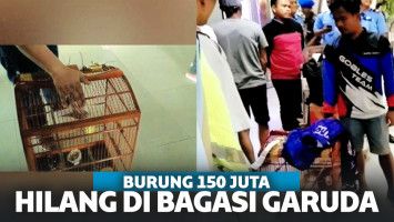 Dibawa Pesawat Garuda Indonesia, Burung Seharga Rp 150 Juta Hilang