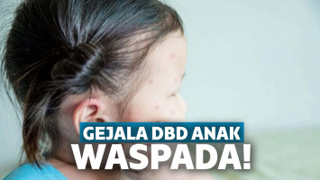 Gejala DBD Pada Anak