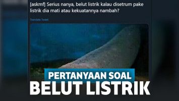 7 Pertanyaan Nyeleneh Tentang Belut Listrik ala Netizen Ini Bikin Mikir