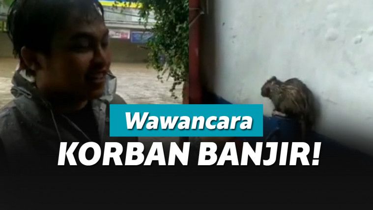 Mewawancarai tikus