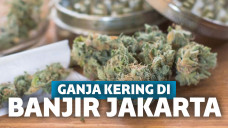 Ganja