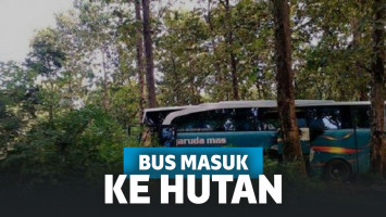 Bus Masuk Hutan