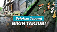 Selokan berisi ikan koi di Jepang
