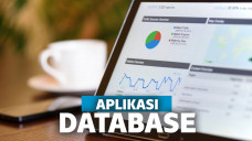 aplikasi database