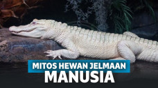 Gak Nyangka, 4 Hewan Ini Diyakini sebagai Jelmaan Manusia, Lho!