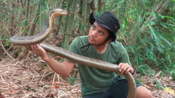 Panji Petualang