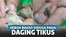 Pentol diduga berbahan dasar daging tikus