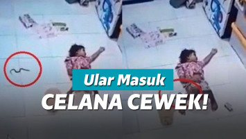 Ular memasuki pakaian bocah
