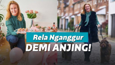 Wanita bekerja untuk anjing