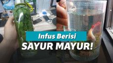 Infused water sayuran