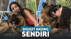 Sesi foto yang beralih menjadi tragedi.