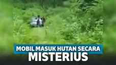 Mobil terjebak di hutan