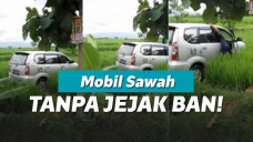 Mobil Masuk Sawah Tanpa Jejak