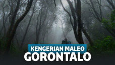 Inilah Kengerian di Kawasan Penangkaran Burung Maleo Gorontalo