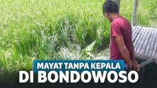Bondowoso Digegerkan Temuan Mayat tanpa Kepala, Diduga Korban Dieksekusi di Tempat!