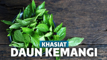 Manfaat Daun Kemangi
