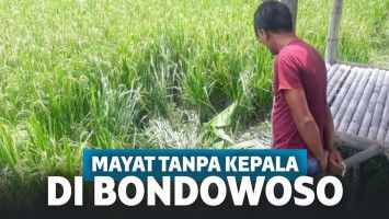 Bondowoso Digegerkan Temuan Mayat tanpa Kepala, Diduga Korban Dieksekusi di Tempat!