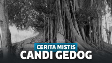 Candi Gedog, situs yang sering dijadikan tempat ritual oleh warga sekitar dan pengunjung dari luar Blitar.