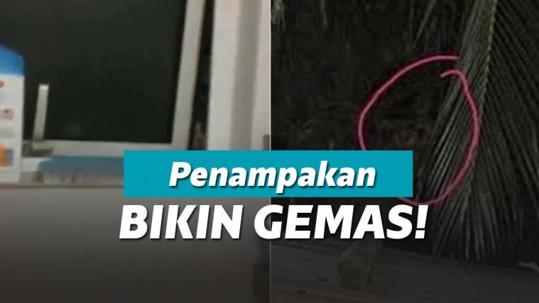 Penampakan misterius di toilet