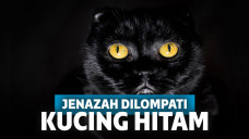 Ngeri, Jenazah Kakek Ini Terbangun Setelah Dilompati Kucing Hitam!