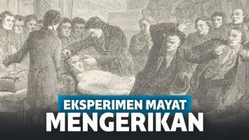 eksperimen mayat