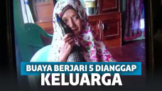 Hasnia dan buaya Ainun