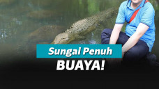 Uji nyali di rawa penuh buaya