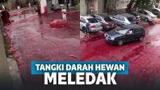 5000 Liter Darah Hewan Dalam Tangki Meledak, Bikin Netizen Ngeri dan Mual