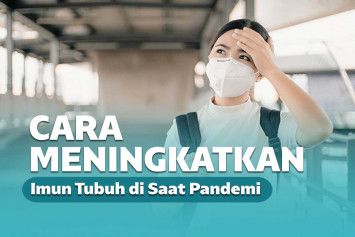 Sistem Imun