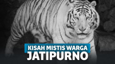 Lihat Harimau Gendong Mayat Manusia, Warga Jatipurno Mendadak Sakit dan Meninggal Dunia