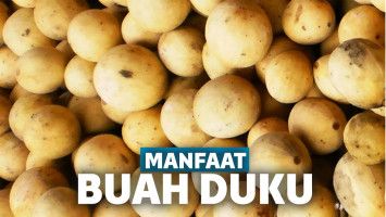Manfaat Buah Duku