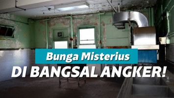 Ilustrasi bunga