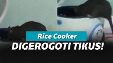 Tikus Dalam Rice Cooker