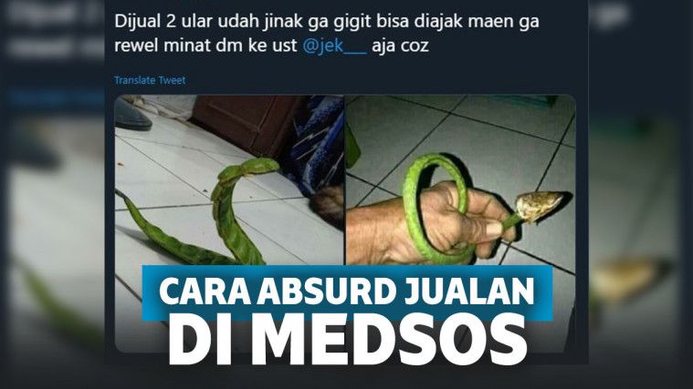 Jualan absurd di medsos