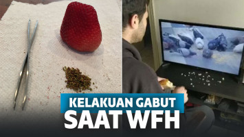 Upaya mengusir rasa bosan di momen WFH.
