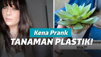 Mengurus Tanaman Palsu