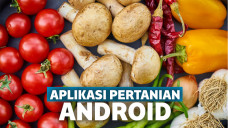 Aplikasi pertanian gratis