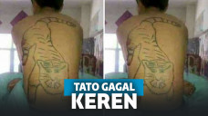 tato zonk